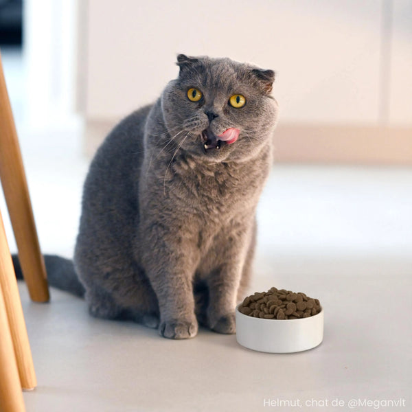 Ultra premium Croquettes Chat Saumon - Sans Céréales - Pour Chat Stérilisé