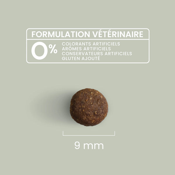 Ultra premium Croquettes Chat Saumon - Sans Céréales - Pour Chat Stérilisé
