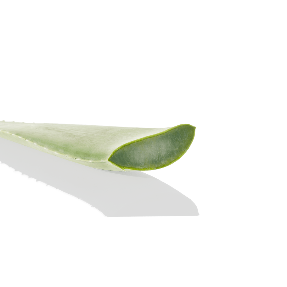 BYPHASSE CRÈME DÉPILATORIE 125ML EXTRAIT D'ALOE VERA