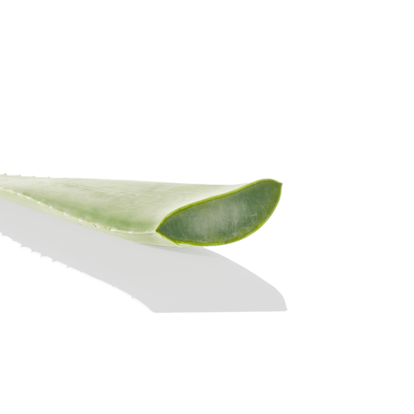 BYPHASSE CRÈME DÉPILATORIE 125ML EXTRAIT D'ALOE VERA